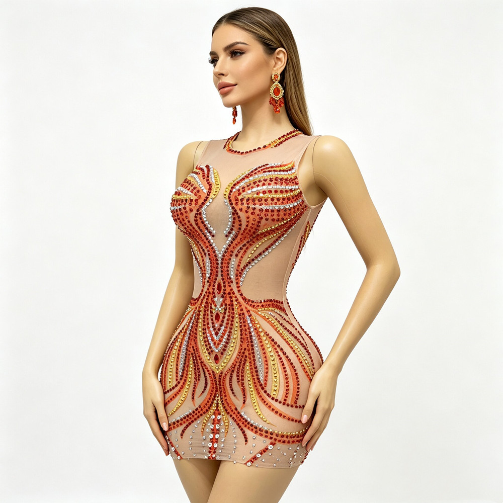 Women Sparkly Rhinestones Mesh - đánh giá và giá Sparkly Rhinestone Club Party Dress