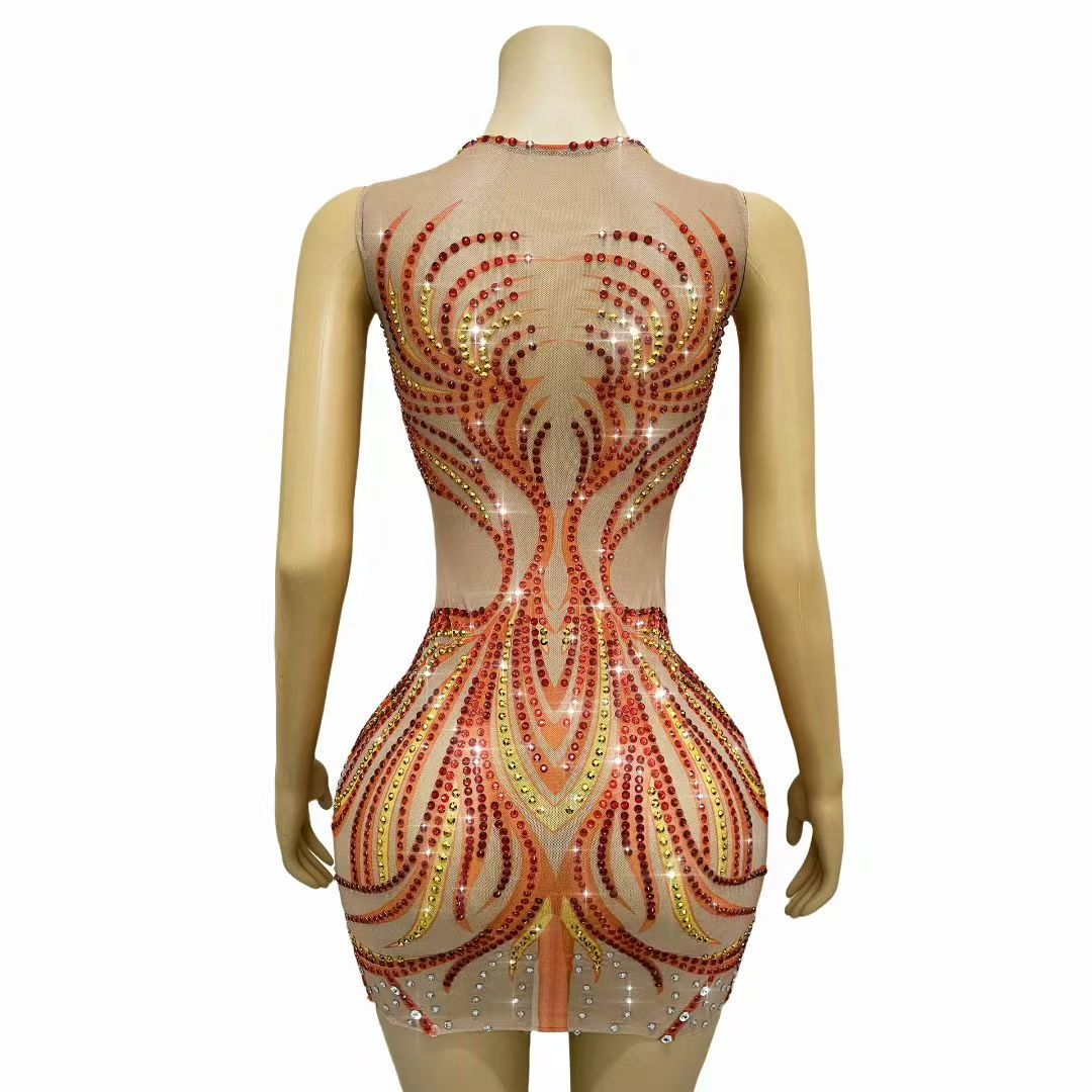 Women Sparkly Rhinestones Mesh - đánh giá và giá Sparkly Rhinestone Club Party Dress