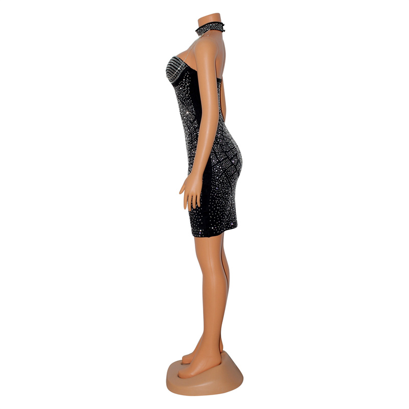 Doyerl Sparkly Rhinestones Dia - đánh giá và giá Sparkly Rhinestone Club Party Dress